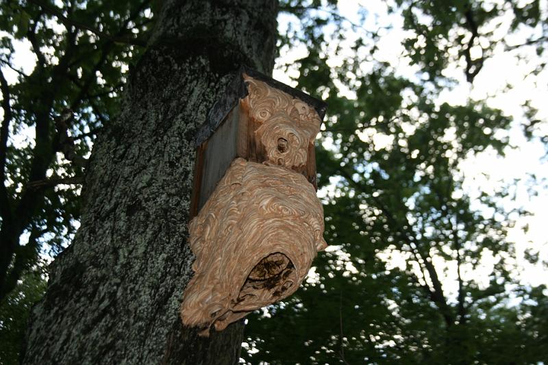 Hochwasser20070822 0012.JPG